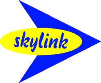 Флот Skylink Services
