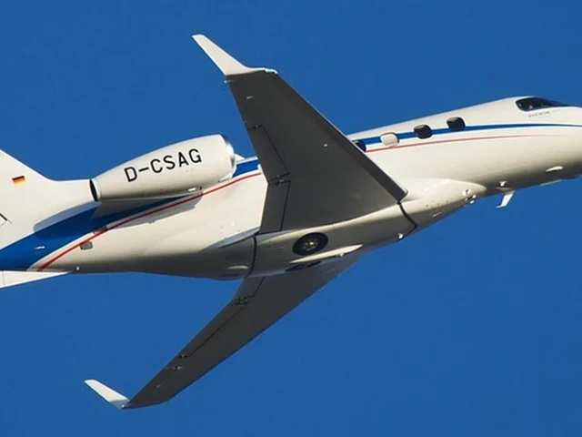 D-CSAG — photo