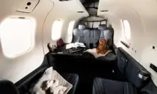 Все фото TBM-940 3