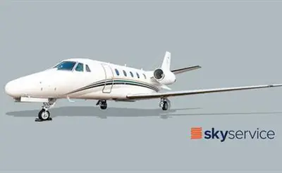 Citation Excel