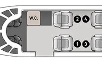 Citation Mustang