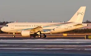 Airbus 319 Corporate Jet