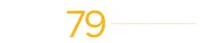 Флот Jet79, Corp