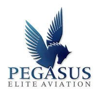Флот Pegasus Elite Aviation, Inc
