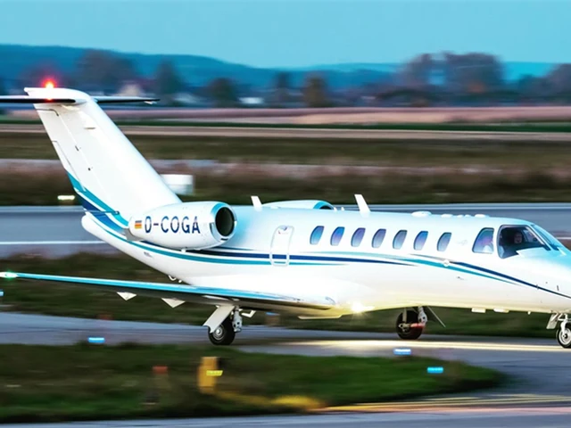 D-COGA — photo