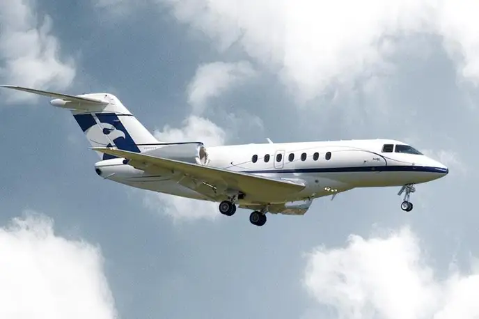   фото внешнего вида