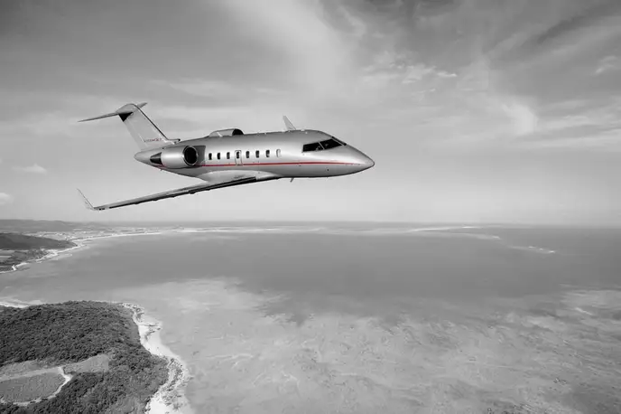   фото внешнего вида