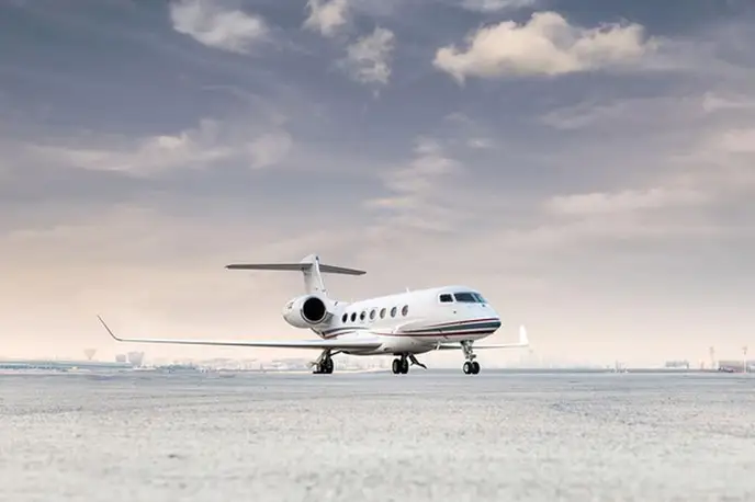   фото внешнего вида