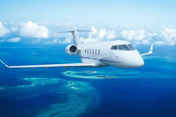   фото внешнего вида