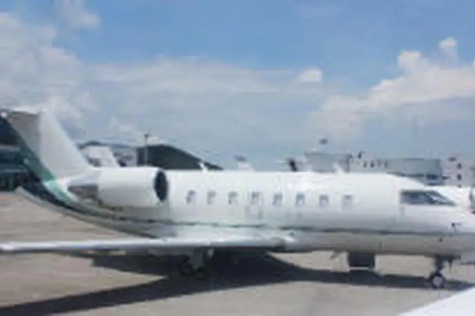   фото внешнего вида