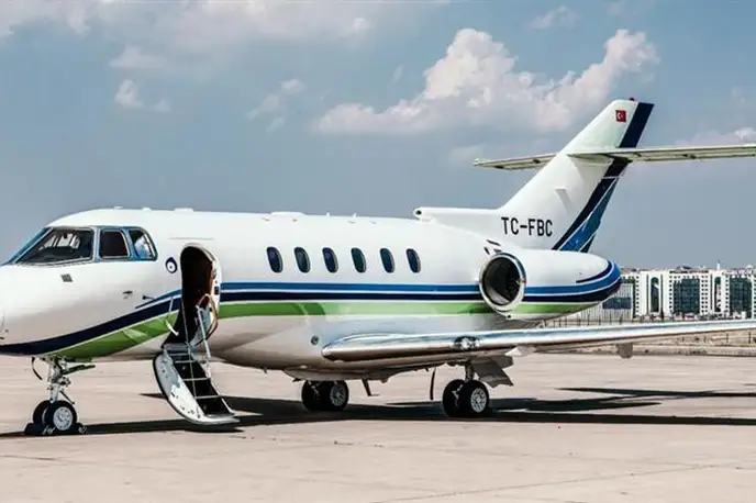   фото внешнего вида