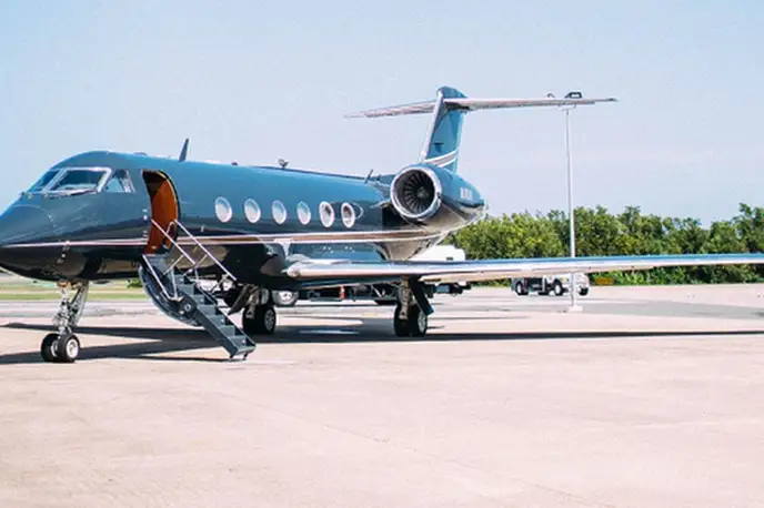   фото внешнего вида