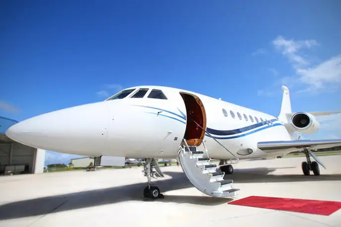   фото внешнего вида