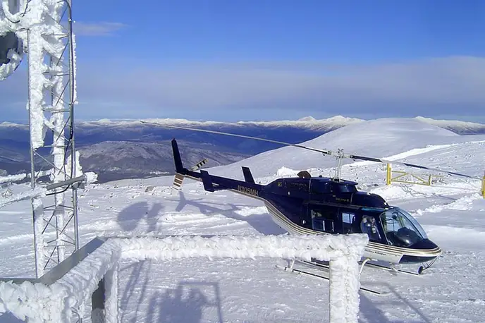   фото внешнего вида