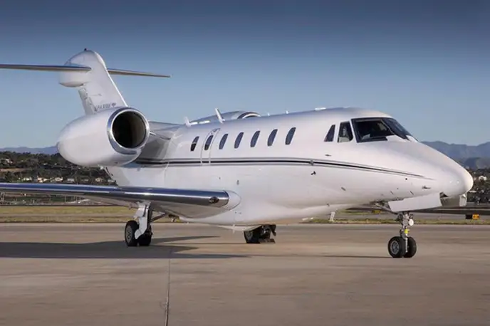   фото внешнего вида