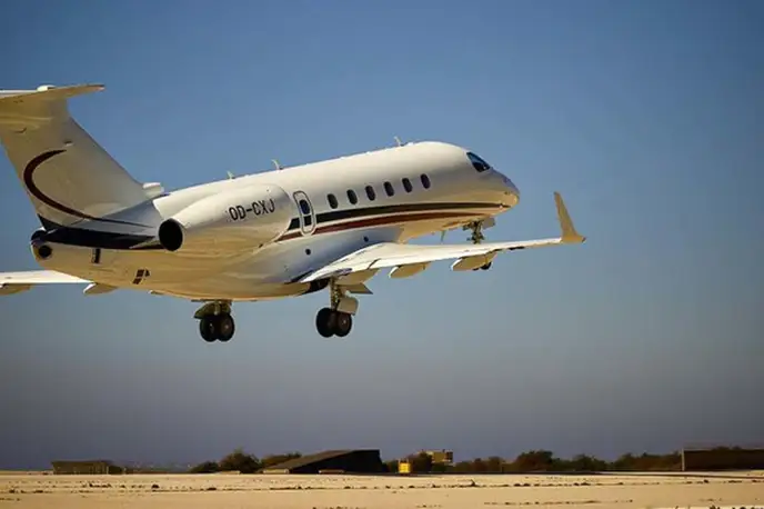   фото внешнего вида