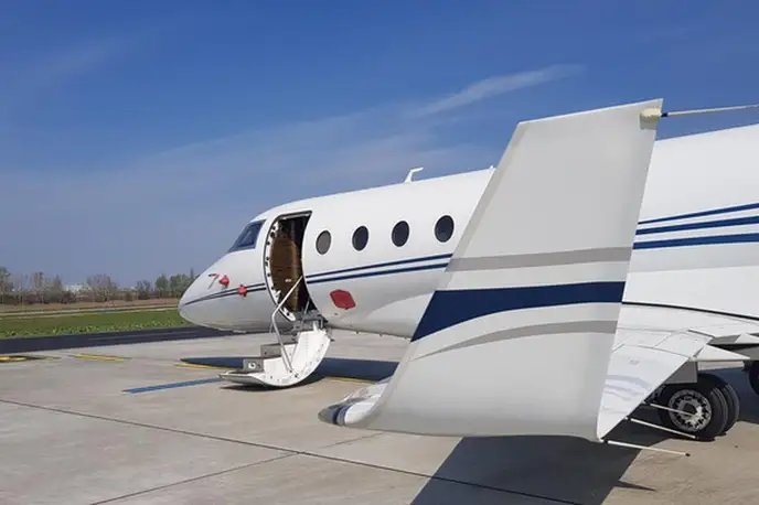   фото внешнего вида