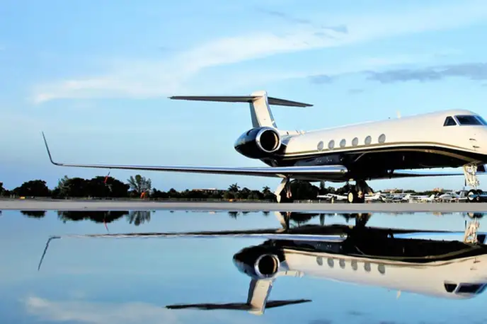   фото внешнего вида