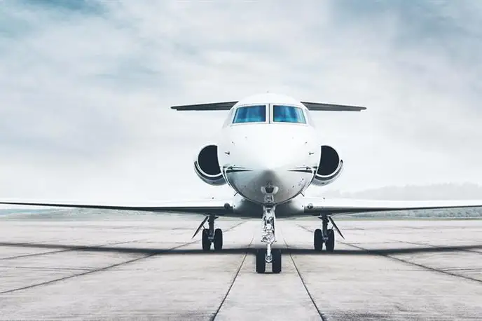   фото внешнего вида