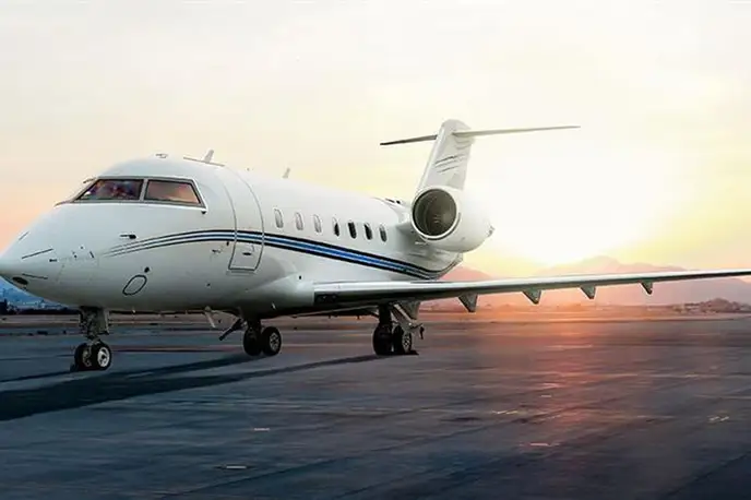   фото внешнего вида