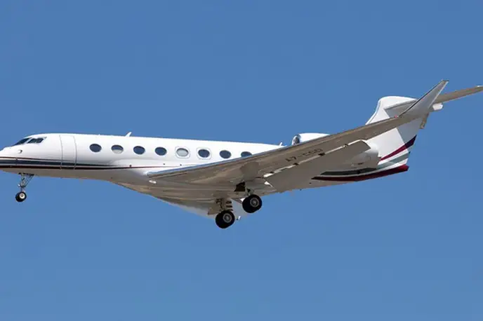   фото внешнего вида