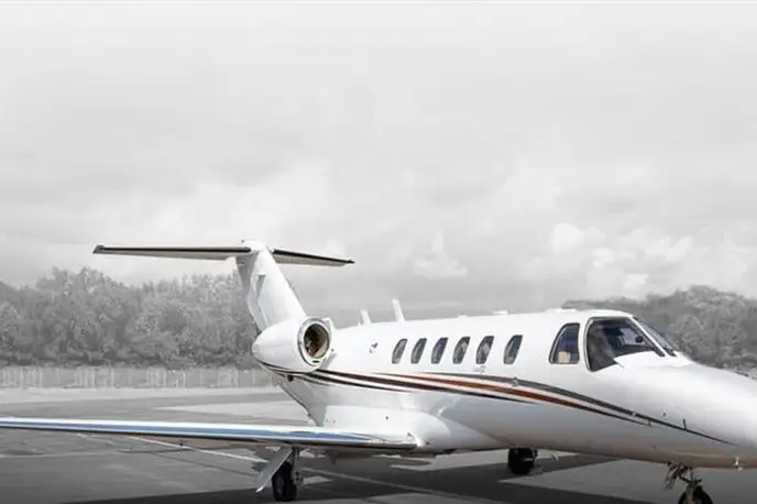   фото внешнего вида