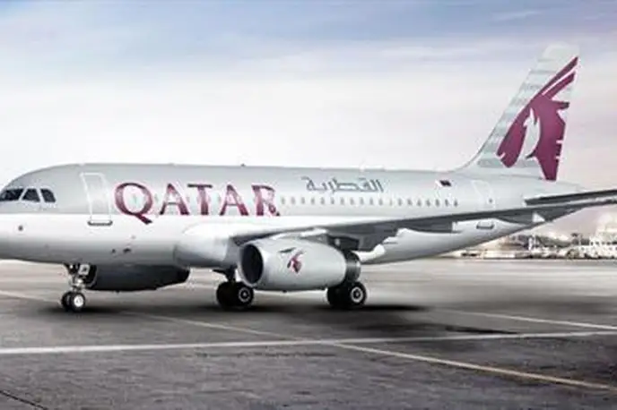   фото внешнего вида