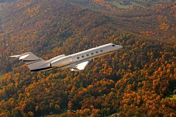   фото внешнего вида