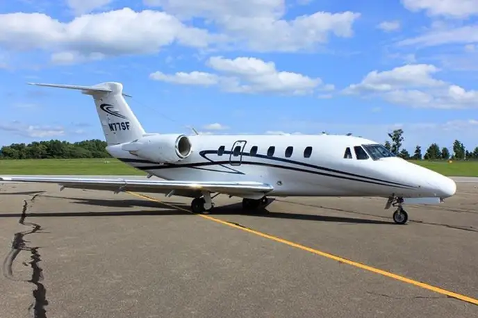   фото внешнего вида