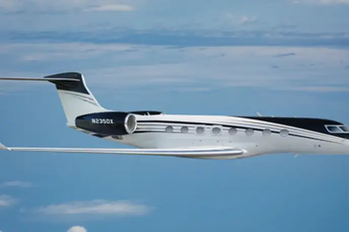   фото внешнего вида