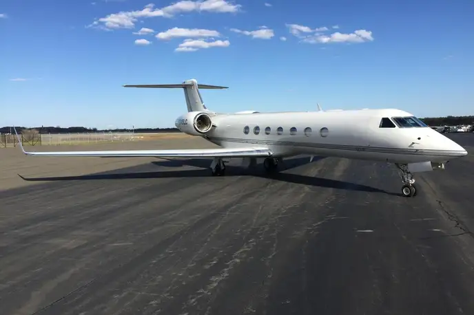   фото внешнего вида