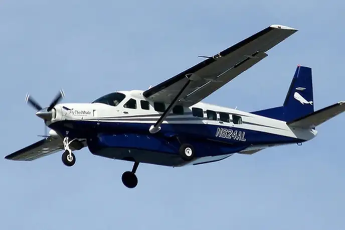   фото внешнего вида