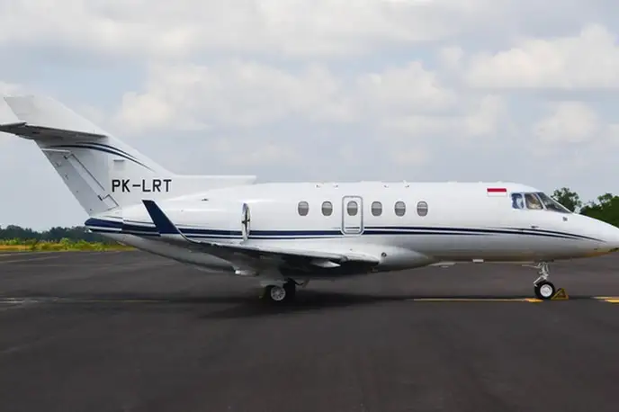   фото внешнего вида