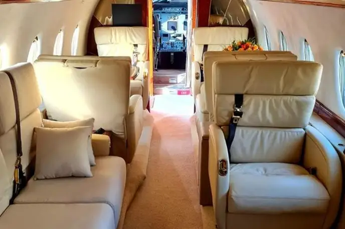   фото внешнего вида