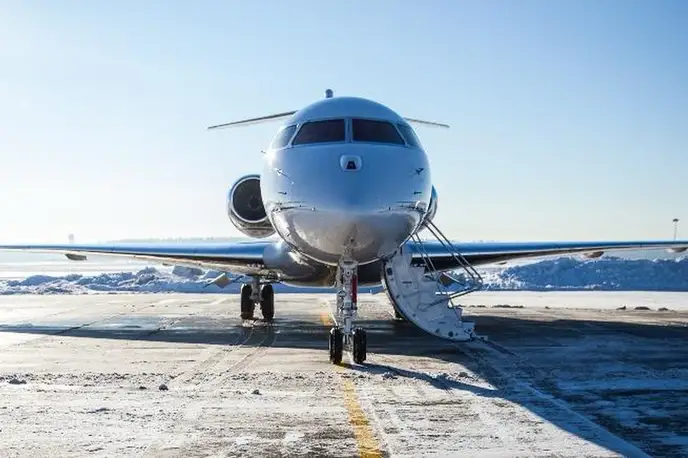   фото внешнего вида