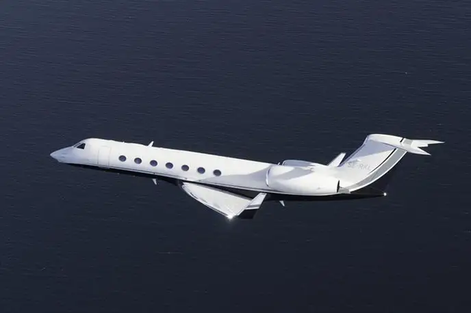   фото внешнего вида