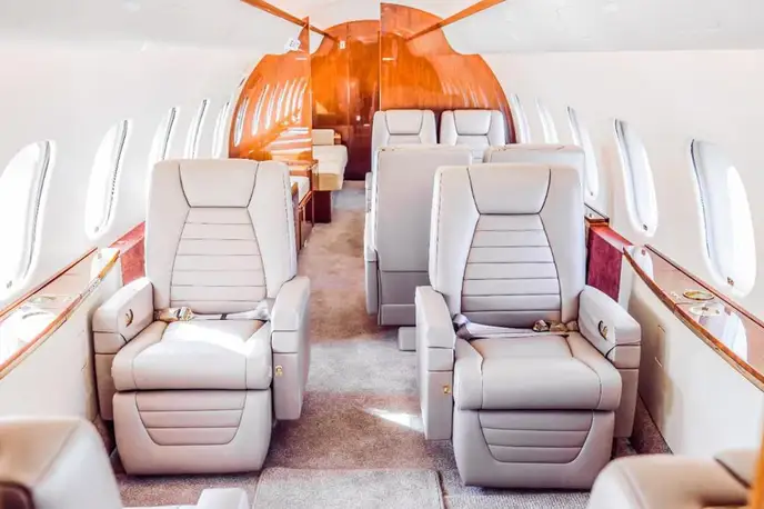   фото внешнего вида