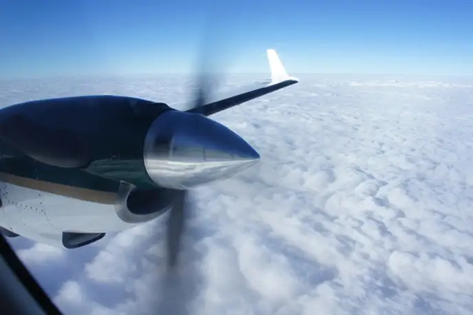   фото внешнего вида