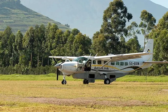   фото внешнего вида