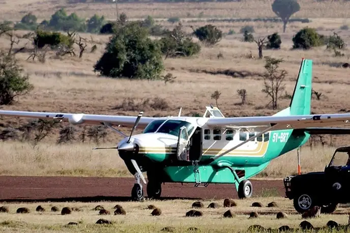   фото внешнего вида