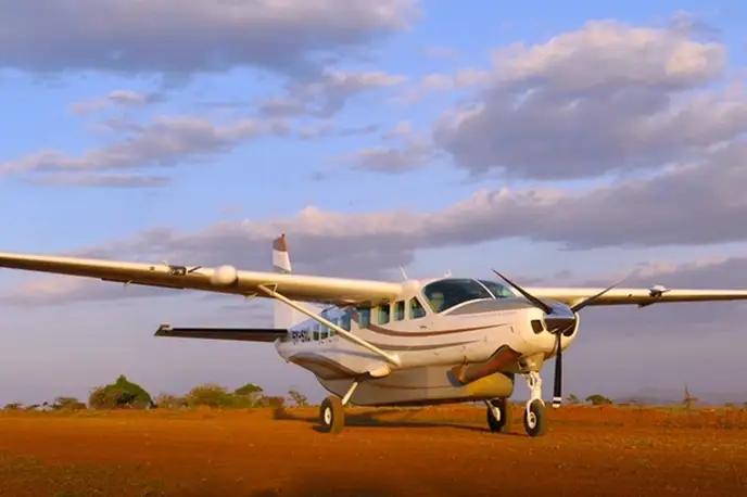  фото внешнего вида