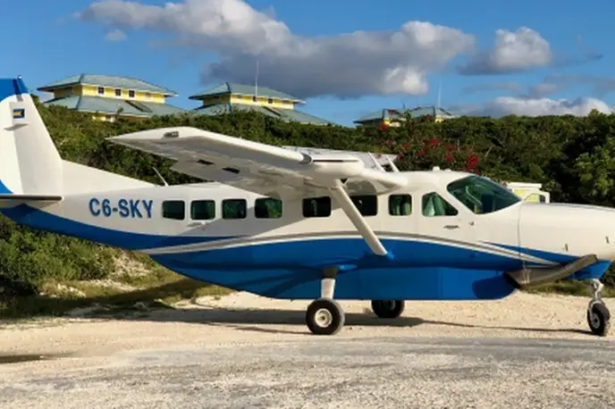   фото внешнего вида