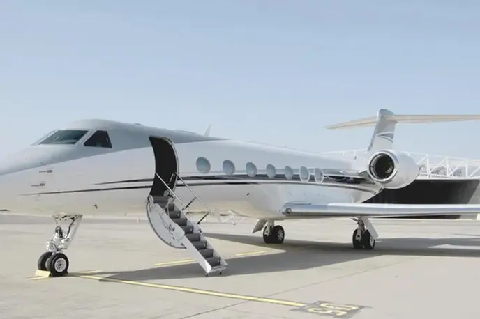   фото внешнего вида