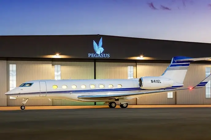   фото внешнего вида