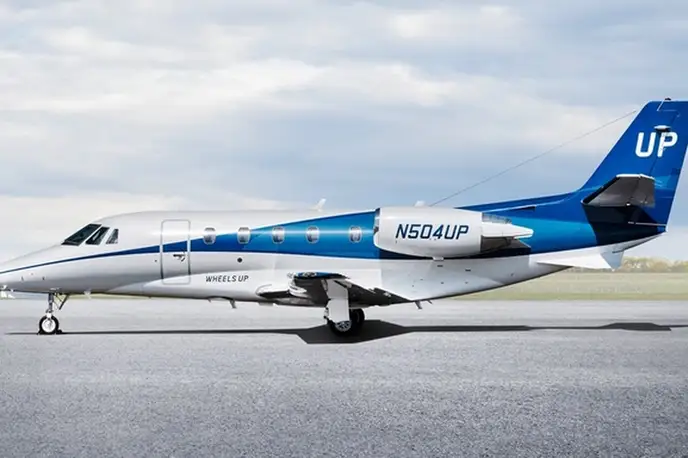   фото внешнего вида