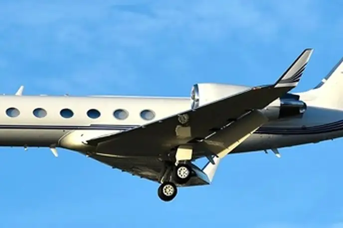   фото внешнего вида