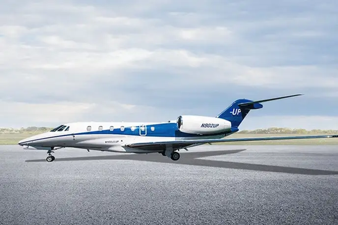   фото внешнего вида