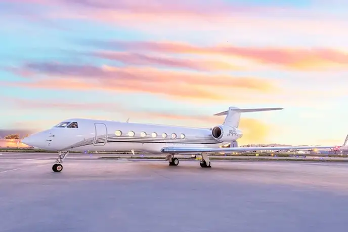   фото внешнего вида