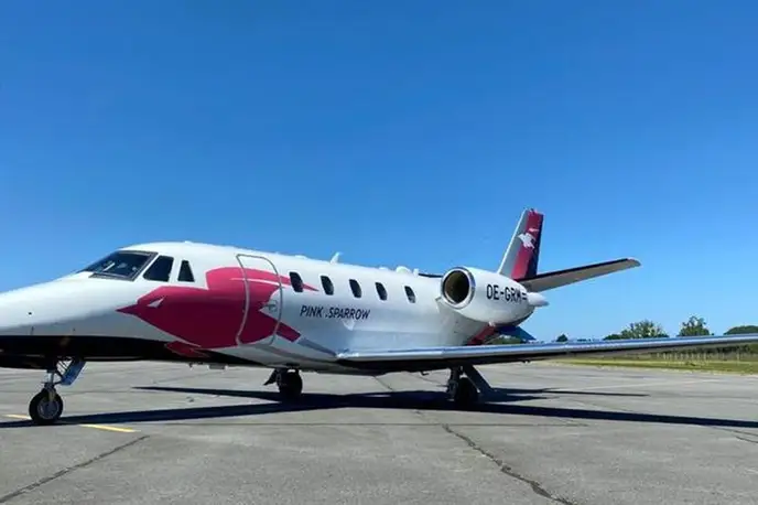   фото внешнего вида