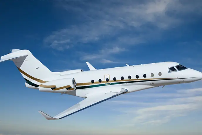   фото внешнего вида